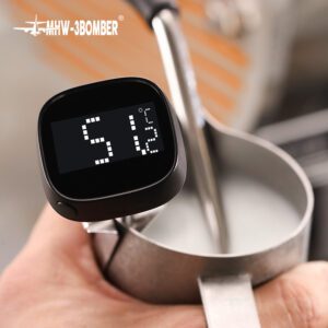 Digital Thermometer